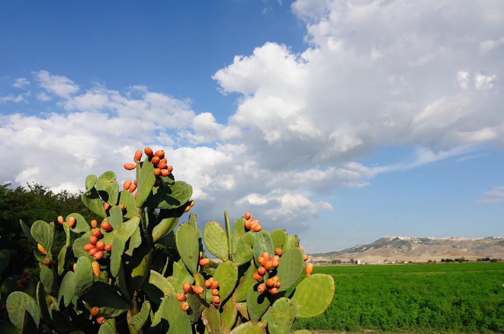 L'Orto Di Lucania Montescaglioso Pokoj fotografie